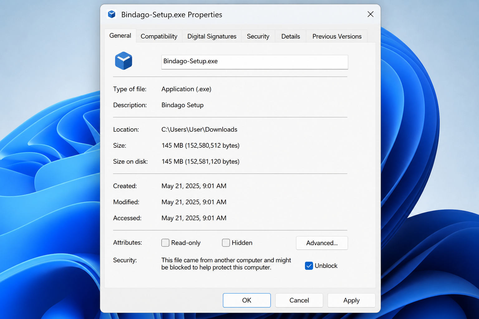 Windows Properties General tab showing the Unblock checkbox under Security